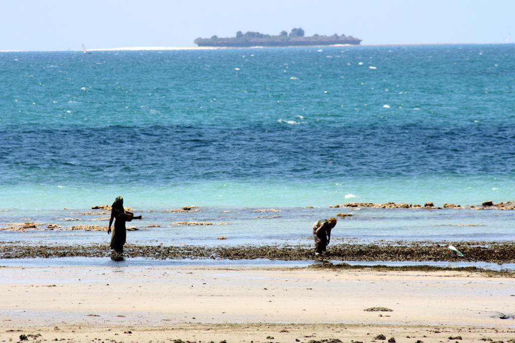 Mangrove Lodge Zanzibar 외부 사진