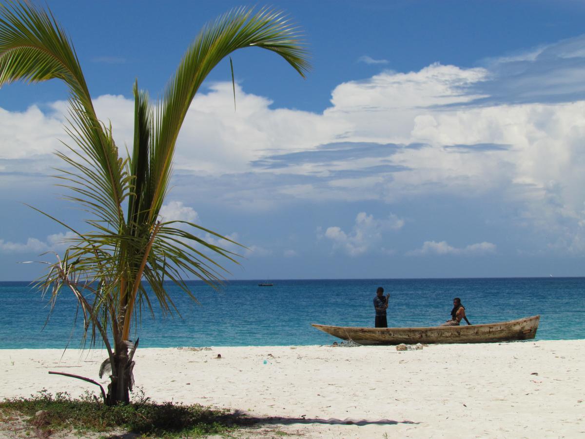 Mangrove Lodge Zanzibar 외부 사진