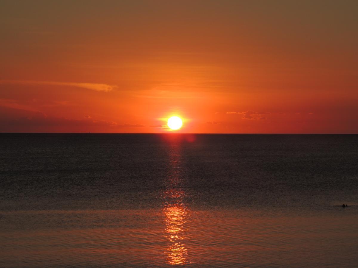 Mangrove Lodge Zanzibar 외부 사진