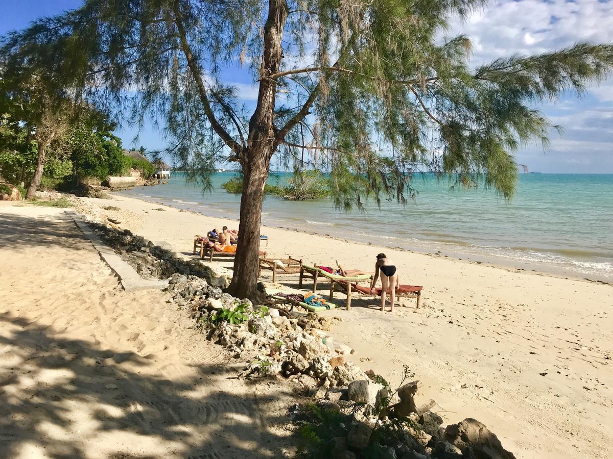 Mangrove Lodge Zanzibar 외부 사진