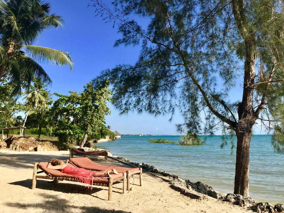 Mangrove Lodge Zanzibar 외부 사진