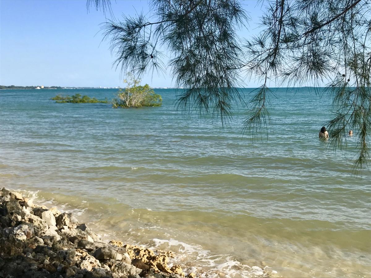 Mangrove Lodge Zanzibar 외부 사진