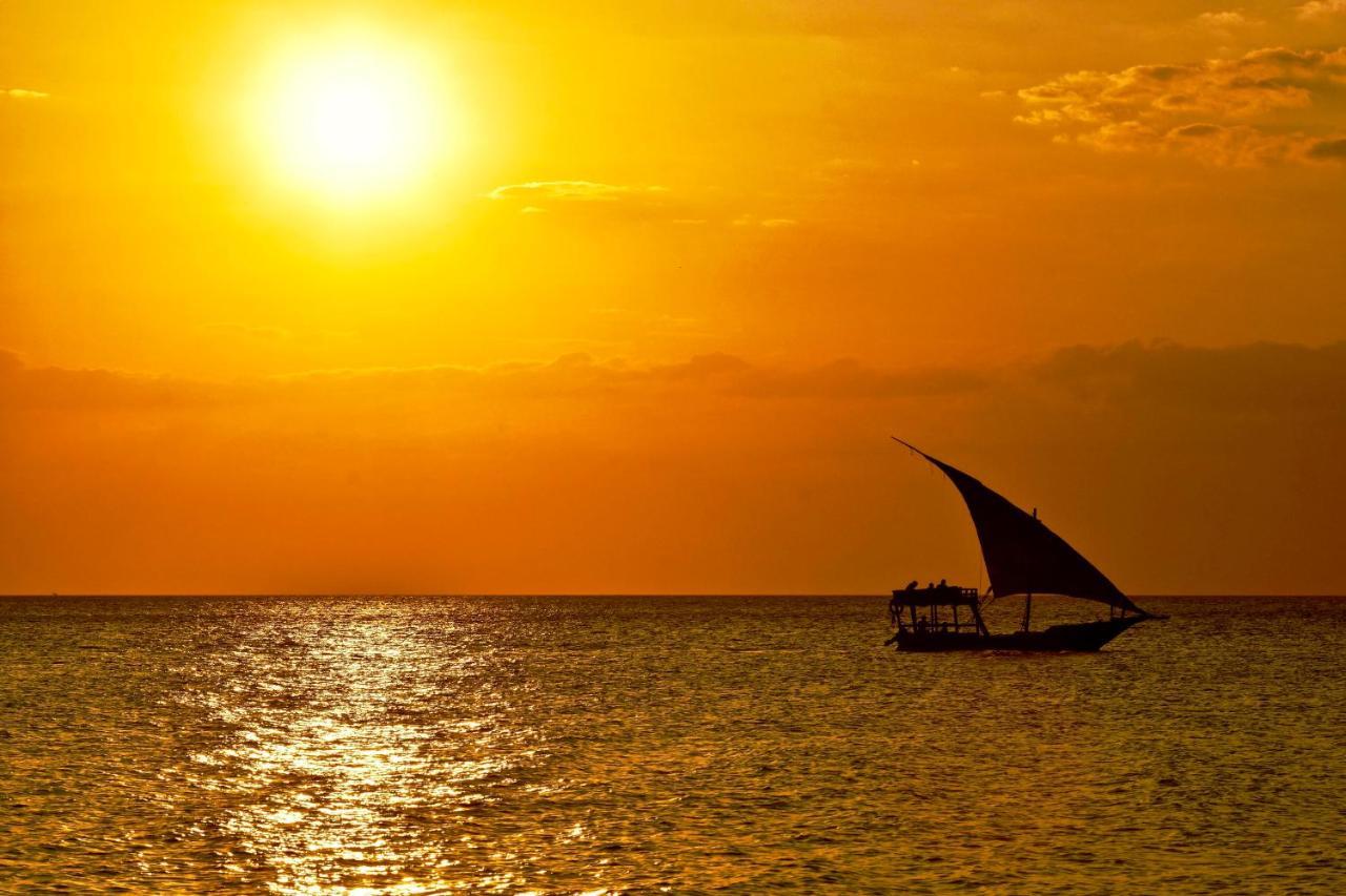 Mangrove Lodge Zanzibar 외부 사진